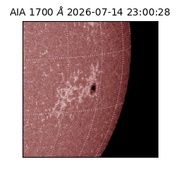 saia - 2026-07-14T23:00:28.719000