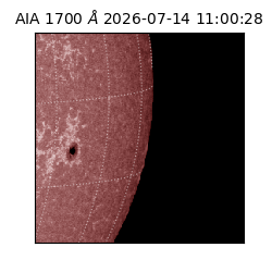 saia - 2026-07-14T11:00:28.718000