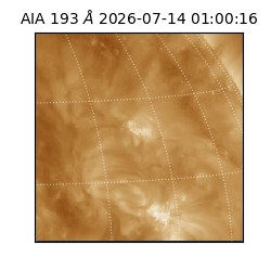 saia - 2026-07-14T01:00:16.842000