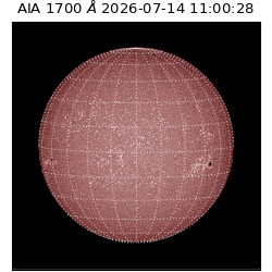 saia - 2026-07-14T11:00:28.718000