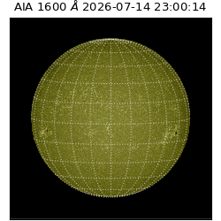 saia - 2026-07-14T23:00:14.123000
