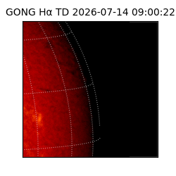 gong - 2026-07-14T09:00:22