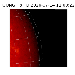 gong - 2026-07-14T11:00:22