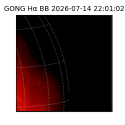 gong - 2026-07-14T22:01:02