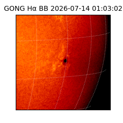 gong - 2026-07-14T01:03:02