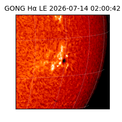 gong - 2026-07-14T02:00:42