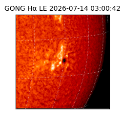 gong - 2026-07-14T03:00:42