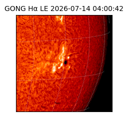 gong - 2026-07-14T04:00:42
