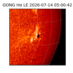 gong - 2026-07-14T05:00:42