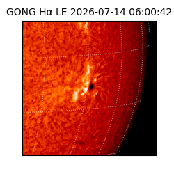 gong - 2026-07-14T06:00:42