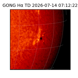 gong - 2026-07-14T07:12:22