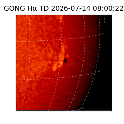 gong - 2026-07-14T08:00:22