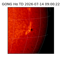 gong - 2026-07-14T09:00:22