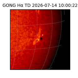 gong - 2026-07-14T10:00:22