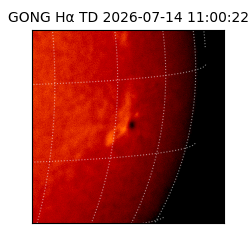gong - 2026-07-14T11:00:22