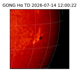 gong - 2026-07-14T12:00:22