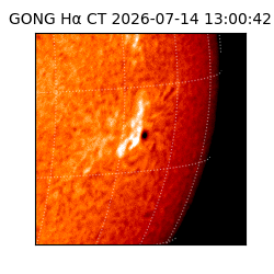 gong - 2026-07-14T13:00:42