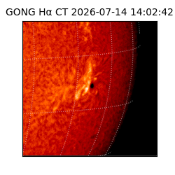 gong - 2026-07-14T14:02:42