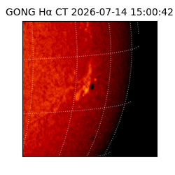 gong - 2026-07-14T15:00:42