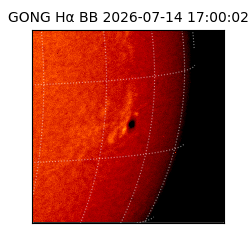 gong - 2026-07-14T17:00:02