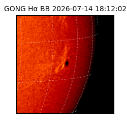 gong - 2026-07-14T18:12:02