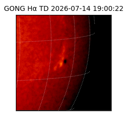 gong - 2026-07-14T19:00:22