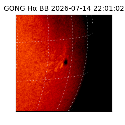 gong - 2026-07-14T22:01:02