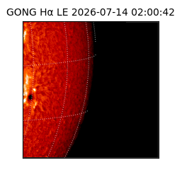 gong - 2026-07-14T02:00:42