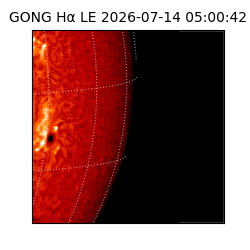 gong - 2026-07-14T05:00:42