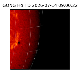 gong - 2026-07-14T09:00:22