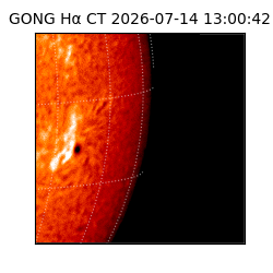 gong - 2026-07-14T13:00:42