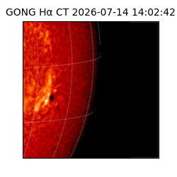 gong - 2026-07-14T14:02:42