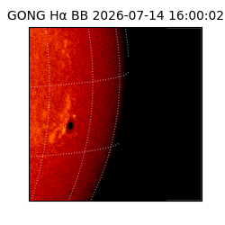 gong - 2026-07-14T16:00:02