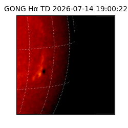 gong - 2026-07-14T19:00:22
