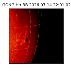 gong - 2026-07-14T22:01:02