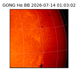 gong - 2026-07-14T01:03:02