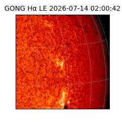 gong - 2026-07-14T02:00:42