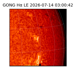 gong - 2026-07-14T03:00:42