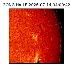gong - 2026-07-14T04:00:42
