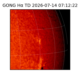 gong - 2026-07-14T07:12:22