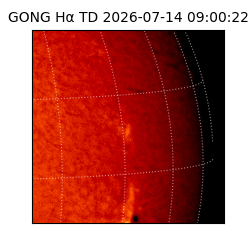 gong - 2026-07-14T09:00:22