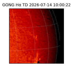 gong - 2026-07-14T10:00:22