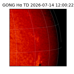 gong - 2026-07-14T12:00:22