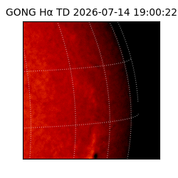 gong - 2026-07-14T19:00:22