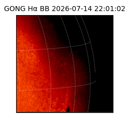 gong - 2026-07-14T22:01:02
