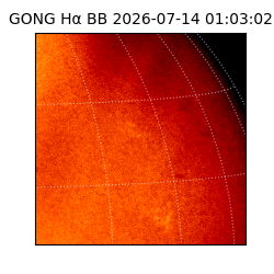 gong - 2026-07-14T01:03:02