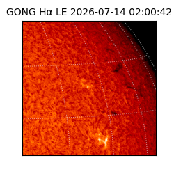 gong - 2026-07-14T02:00:42