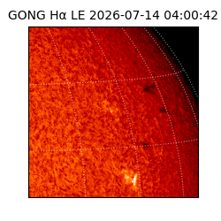 gong - 2026-07-14T04:00:42