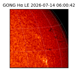 gong - 2026-07-14T06:00:42