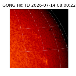 gong - 2026-07-14T08:00:22